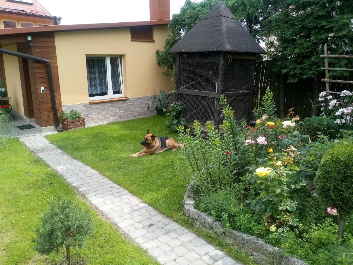 Agroturystyka U Agaty Chęciny Exterior foto